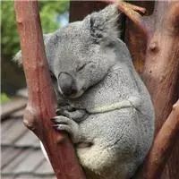 世界最宜居100大城市,悦世界整装