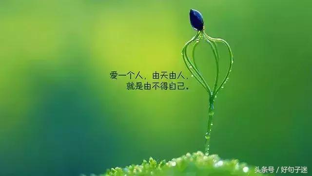 心灵鸡汤语录人生感悟励志短句,心灵鸡汤励志人生感悟语录简短