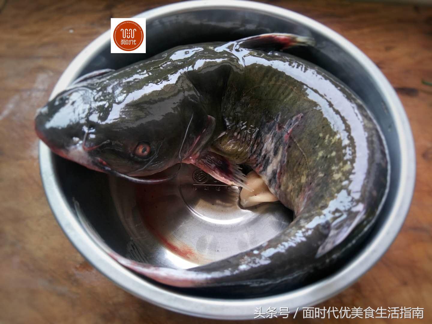 儿童多吃什么菜长肉长高,孩子多吃7种肉补钙补脑