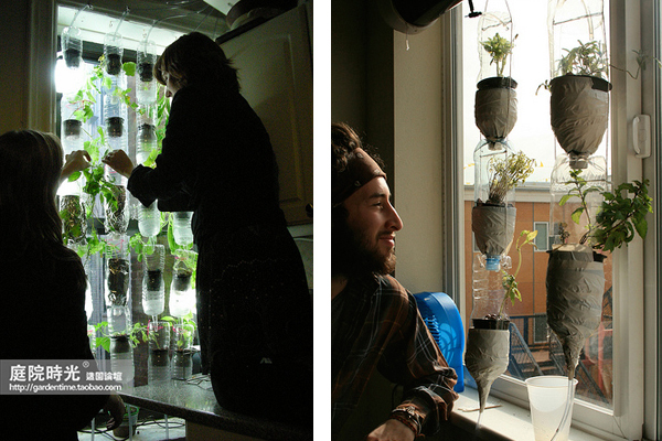 变废为宝自制栽培绿植器皿,塑料瓶创意绿植盆栽旧物利用