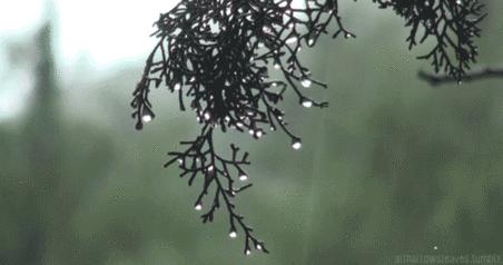 还是找点不受天气影响的约会项目吧！今年七夕要“泡汤”