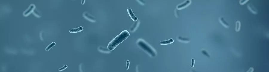 癌症病人发烧到38-39度是怎么回事,癌症病人发烧是不是癌细胞扩散了