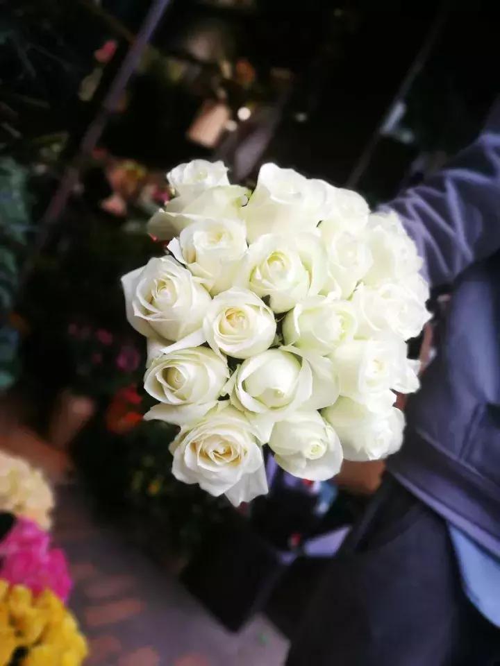 不同颜色玫瑰代表的花语,情人节送自己的玫瑰花语