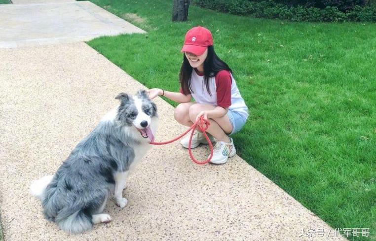 孙骁骁李响袁弘黄宗泽郑恺陈翔,郑恺和前女友交往了多久