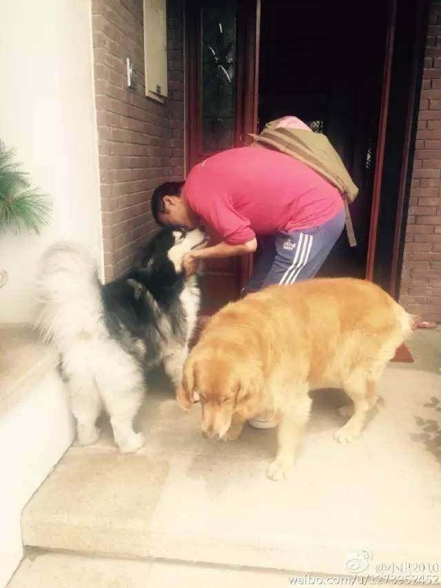 朴树当导师的综艺节目,朴树音乐之路