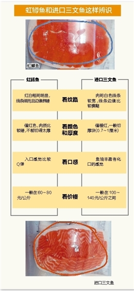 虹鳟鱼和虹鳟三文鱼有什么区别,虹鳟鱼和淡水三文鱼