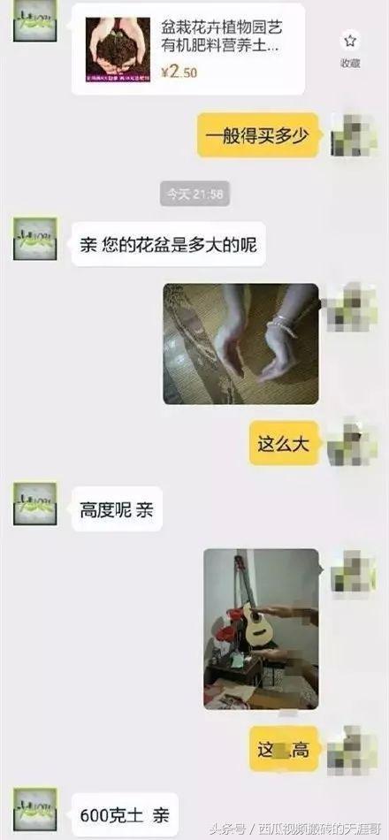 自从迷上*戏调**某宝客服后，我不会说话的毛病就被治好了