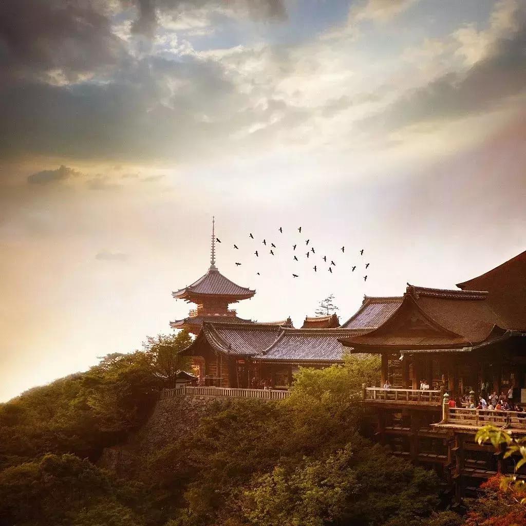 日本机场等候行李视频,日本搬行李视频