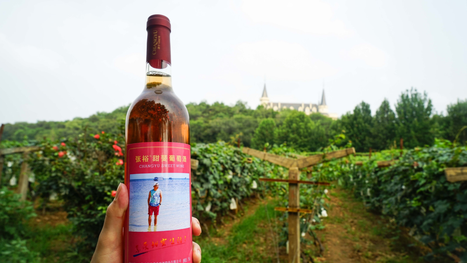 张裕爱斐堡酒庄，除了品酒还有这3大隐藏属性