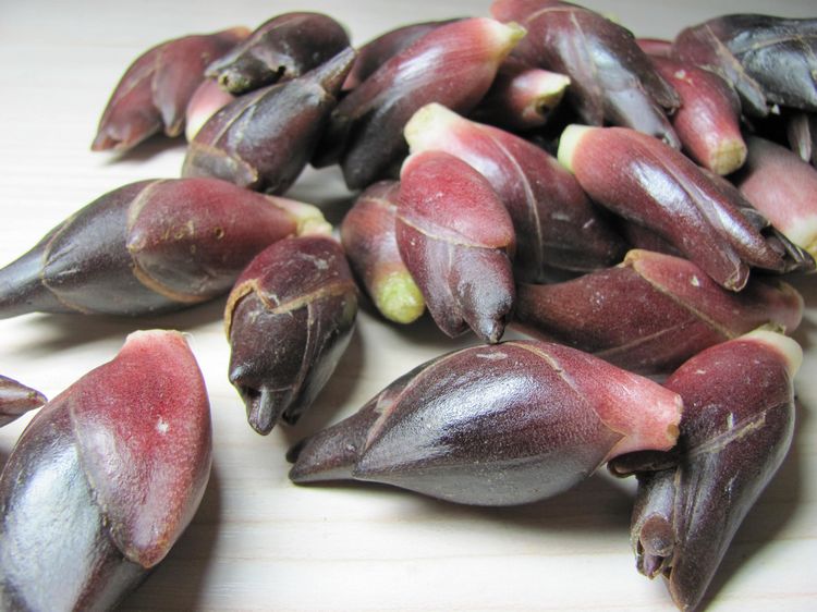 说文解字第263讲,说文解字第56课