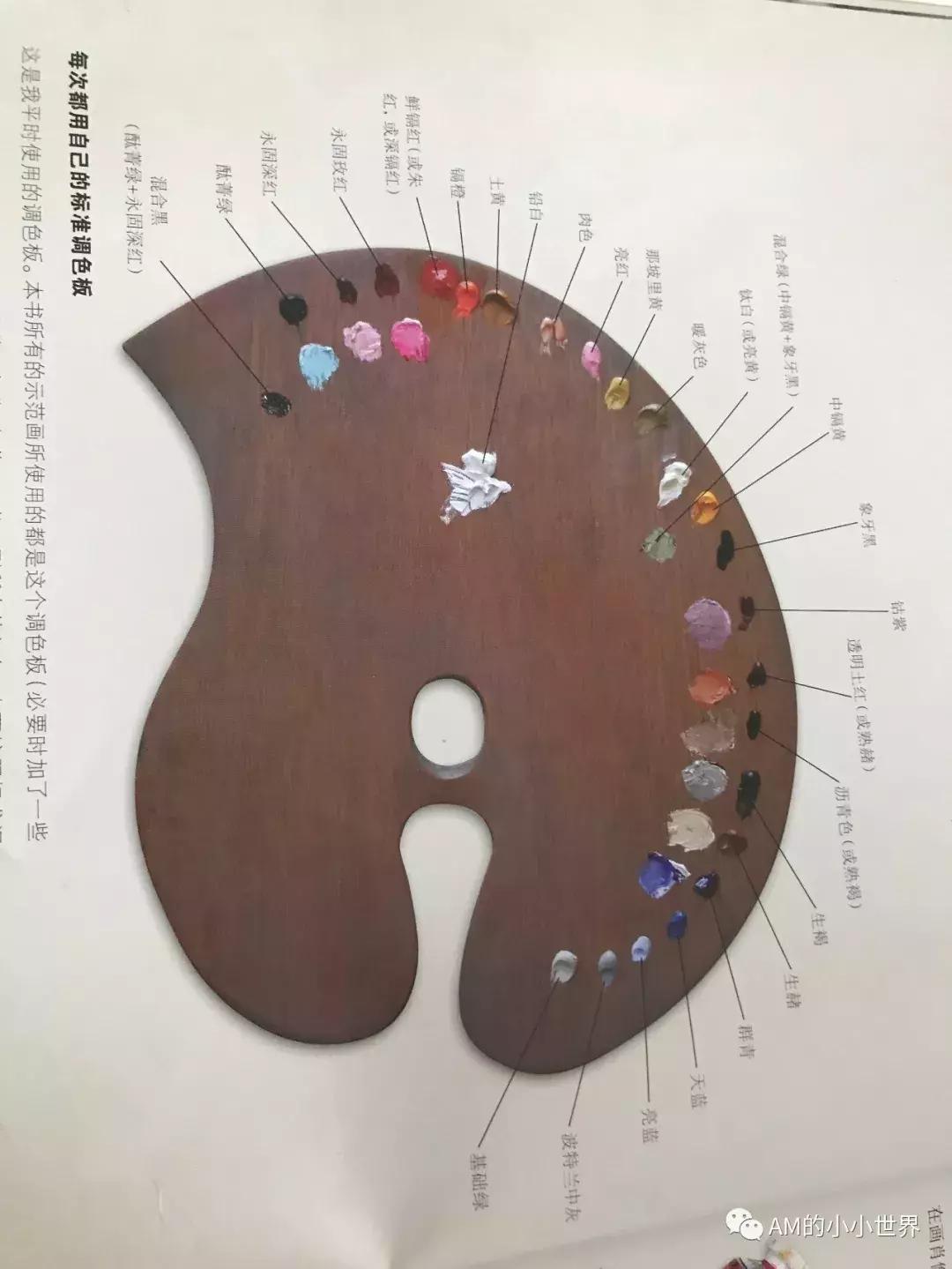 油画静物花卉教程视频,油画人物和风景教程