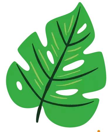 桂林市车管所办理业务,桂林车管新举措