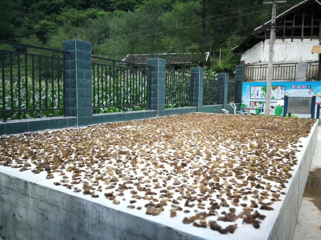 广元旺苍这家超市建成啦，以“德”换物不要钱！