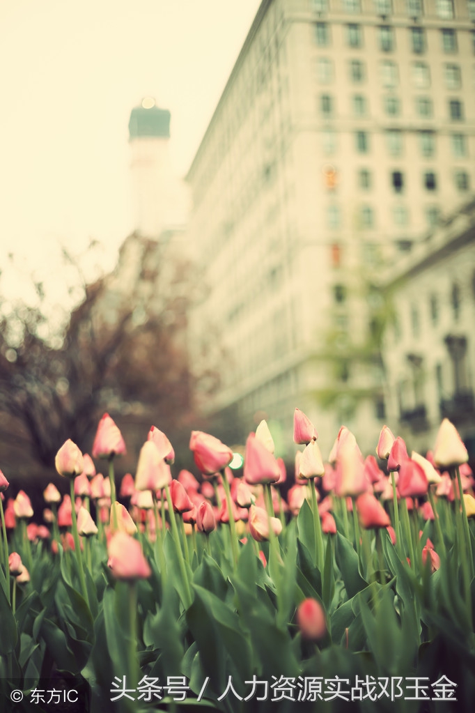 实用礼仪手册,公务员礼仪必看书