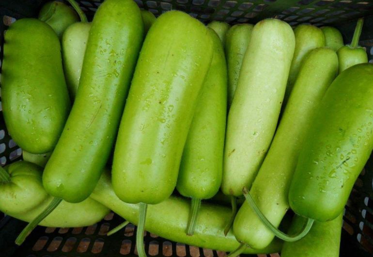 饮食健康存在的问题,饮食健康有待解决的问题