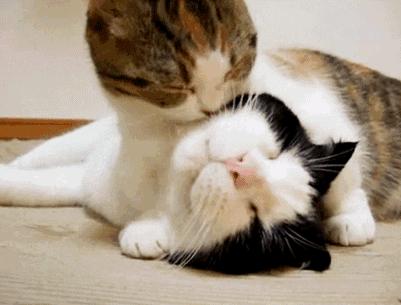 好用的前男友面膜推荐哪个,前男友面膜最低价