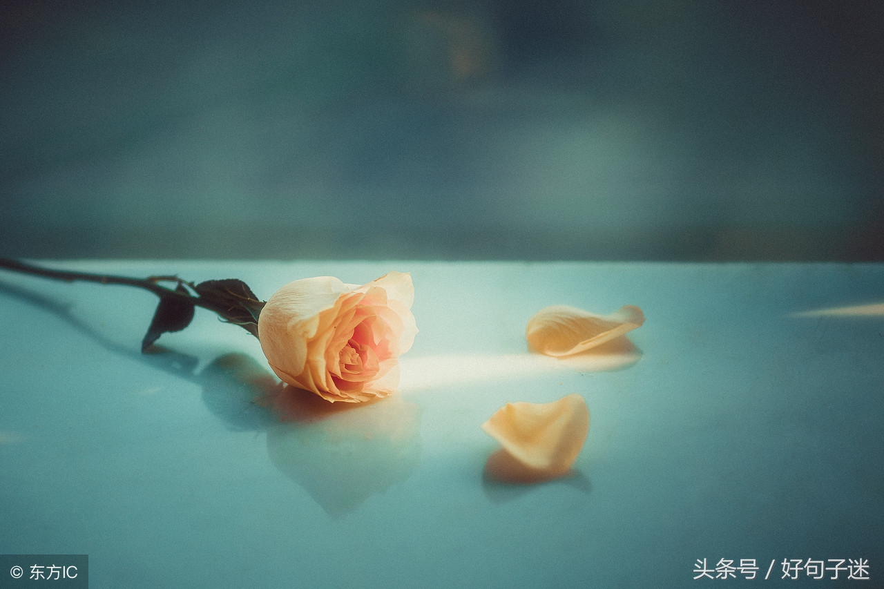 南怀瑾说的人生感悟8个字,人生最高境界四句话南怀瑾