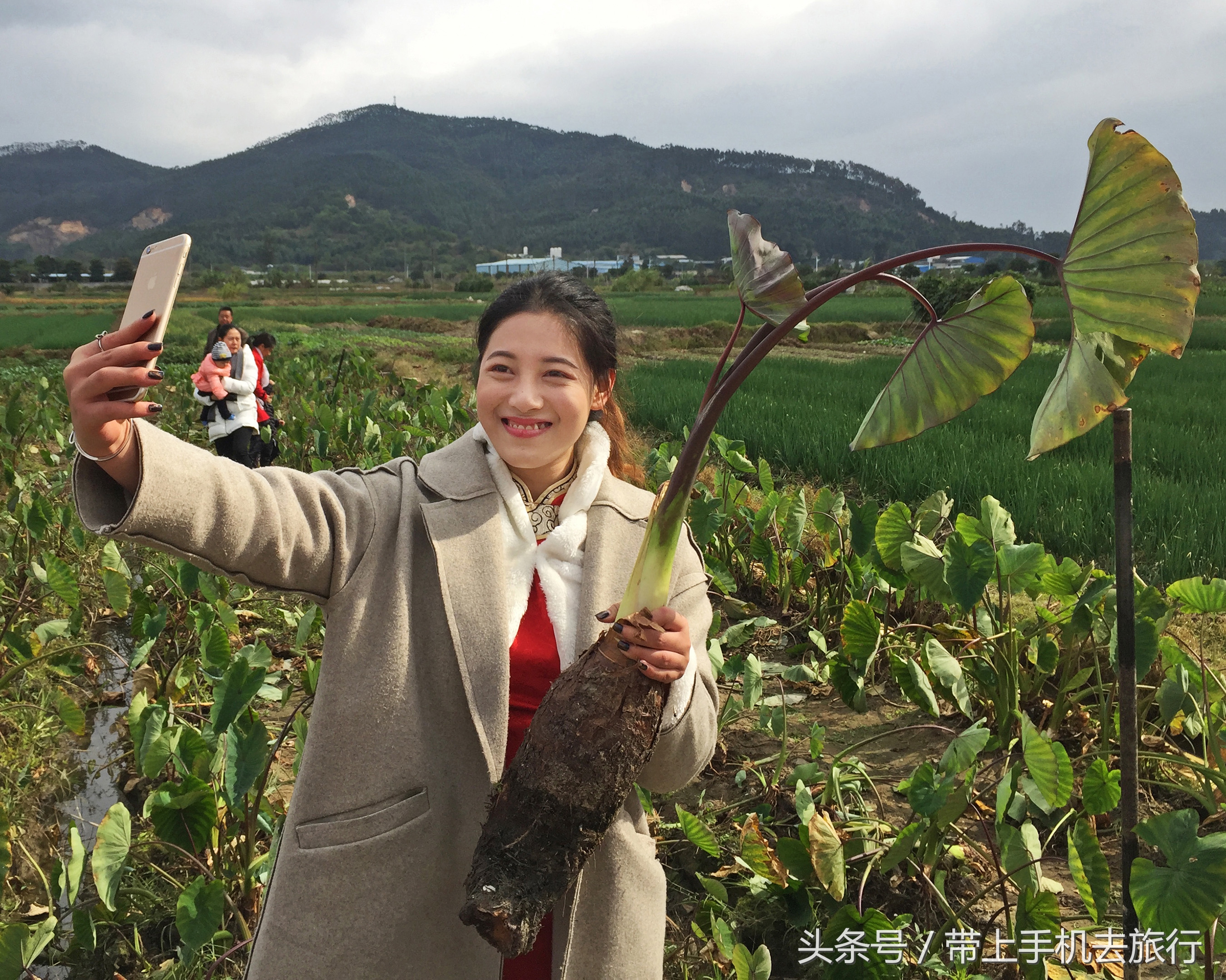 手机拍照片清晰技巧,手机相机夜间怎么能拍出清晰照片