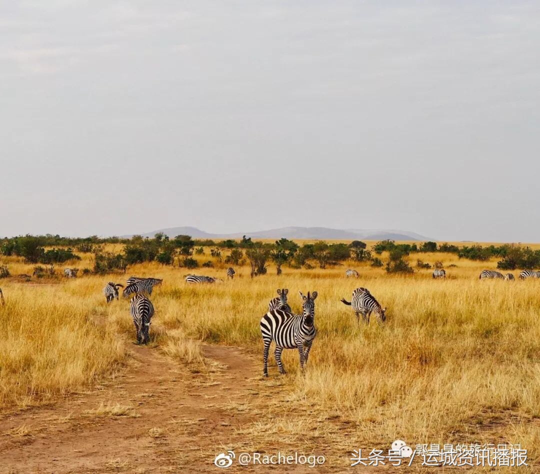 二十岁的运城平陆姑娘,山西运城女孩怎样