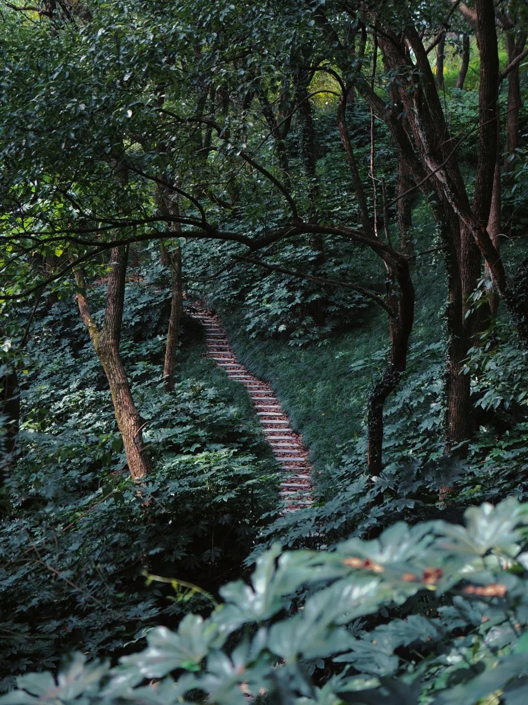 秋天杭州冷门但好看的景点,杭州赏秋景最好的地方