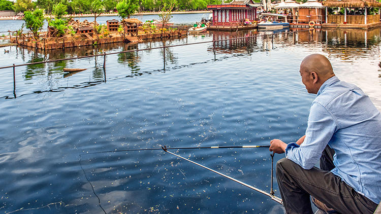 钓了这么多年鱼,钓了这么多年的鱼