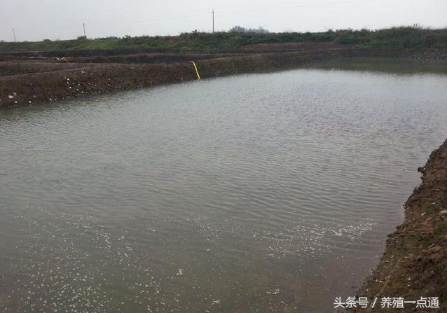 养泥鳅一亩水塘养泥鳅投资多少钱,泥鳅养殖投资多少钱一亩农田