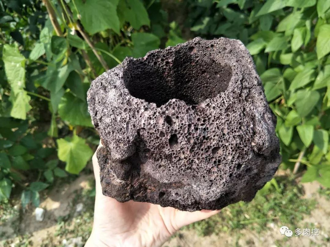 如何养好多多肉,怎么才能养好多肉盆栽