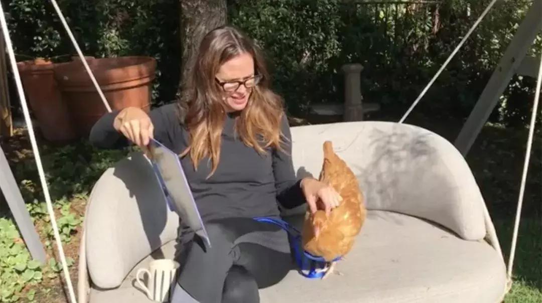 越来越多人养鸡当宠物，有人卖鸡尿布发财了……