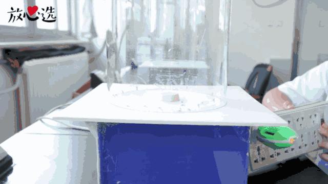 驱蚊产品测评100只蚊子,驱蚊产品测评315