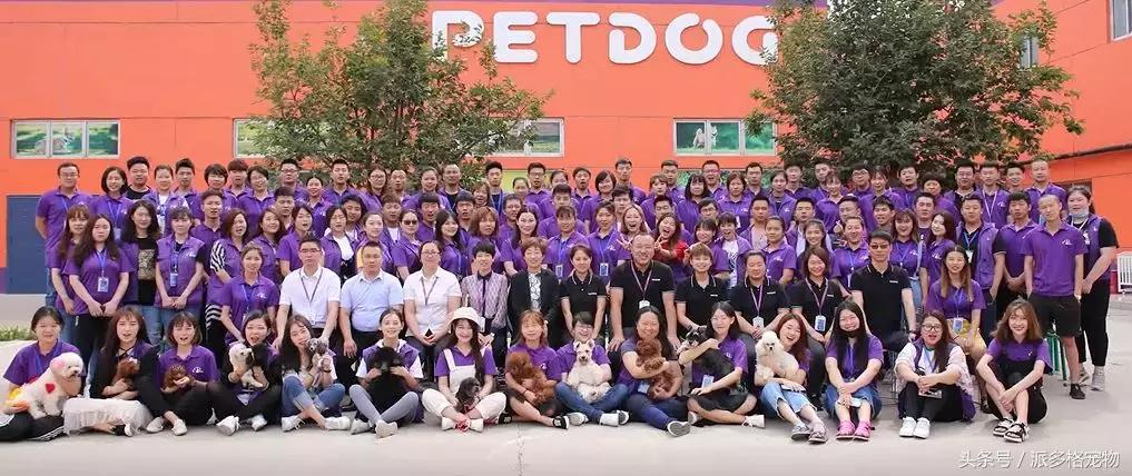 行业小白怎么培训,行业小白应该了解的问题