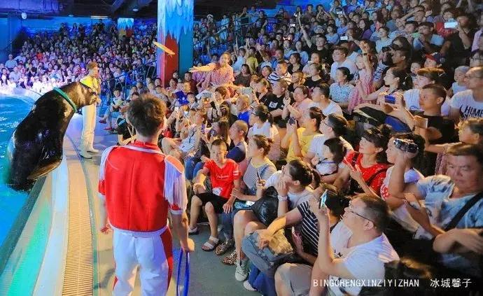 哈尔滨极地公园极地馆时间,哈尔滨极地公园和极地馆区别