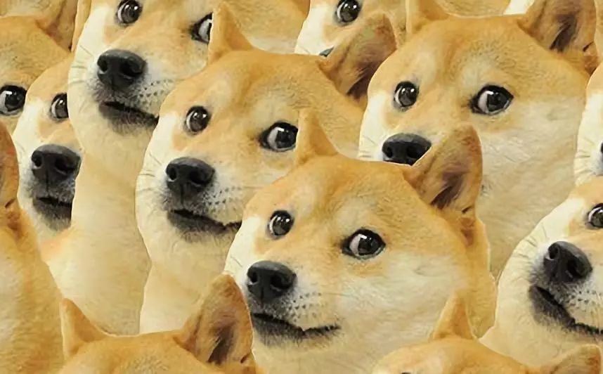 老司机为什么都爱深色车膜,新手上路贴什么样的膜比较合适