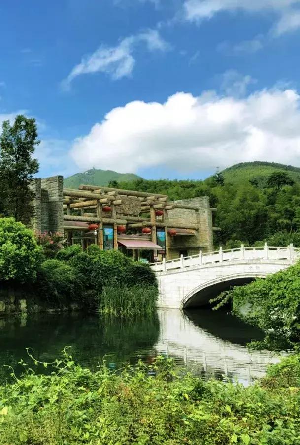 宜兴竹海吹起了一股简洁风,吹来了一波纯色壁纸~