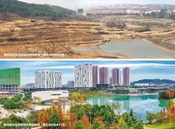 10年前武汉的新闻,10年前的头条