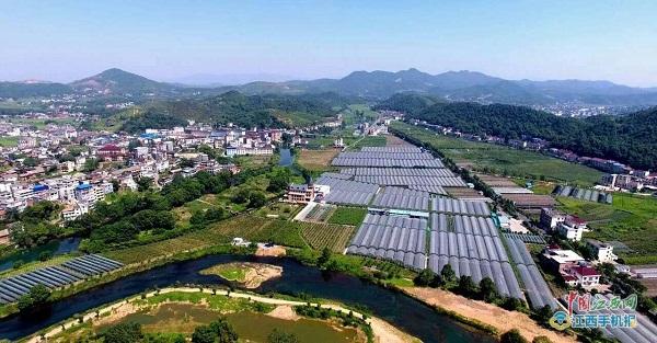 竺君灿:小小葡萄干成大产业农田变公园玩转高科技+农业