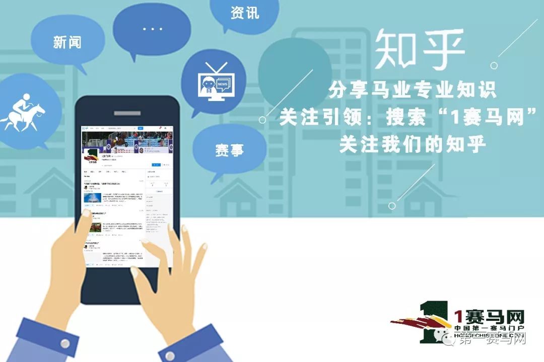 「买马」莱德旗下赛驹拍出高价，中国马主团豪砸重金购入佳驷，新西兰卡拉卡两岁受训马拍卖会隆重开槌