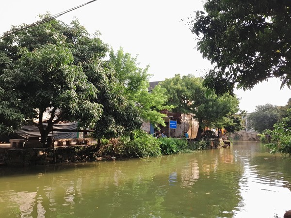 顺德逢简水乡出名小店,顺德逢简水乡属于哪个镇