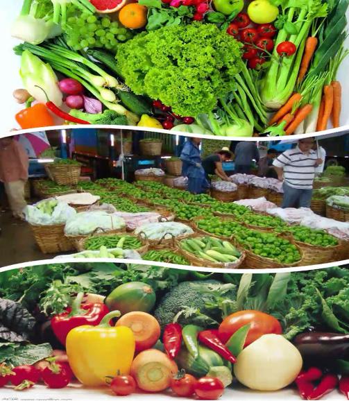 长春水果蔬菜批发市场价格便宜的,长春十大食品批发市场