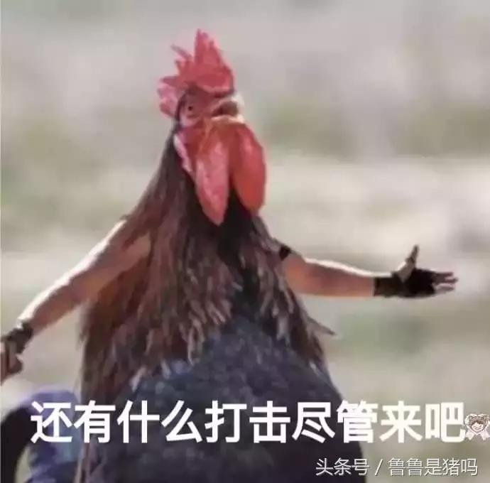 自从迷上*戏调**某宝客服后，我不会说话的毛病就被治好了