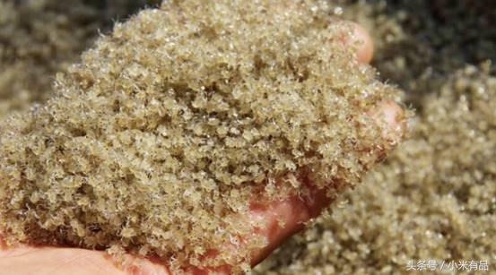 正宗阳澄湖大闸蟹到底长啥样,正宗阳澄湖大闸蟹到底什么样子