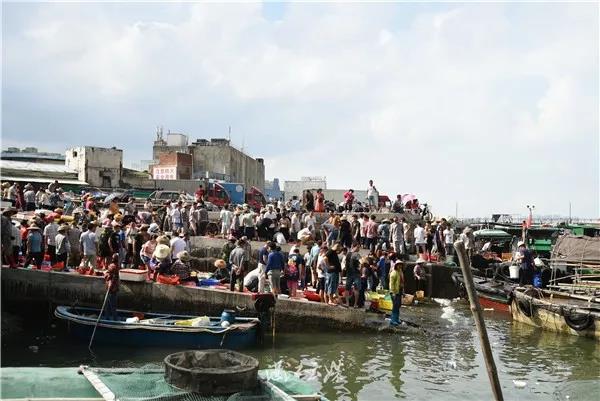 广东10大渔港 (广东各大渔港)