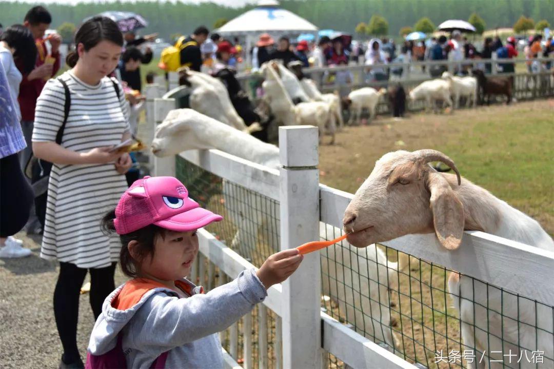 陈柏霖纳米比亚自驾游视频,陈柏霖在沙漠开车