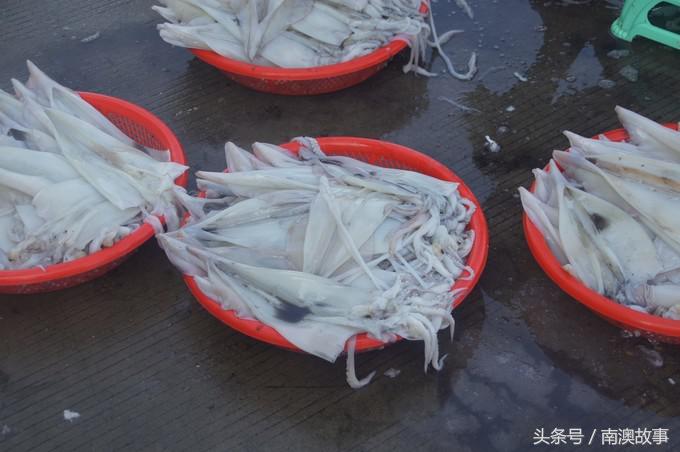 国庆去南澳岛旅游攻略,南澳岛赶海出海游玩攻略