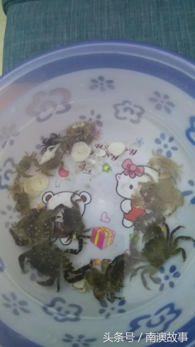 国庆去南澳岛旅游攻略,南澳岛赶海出海游玩攻略