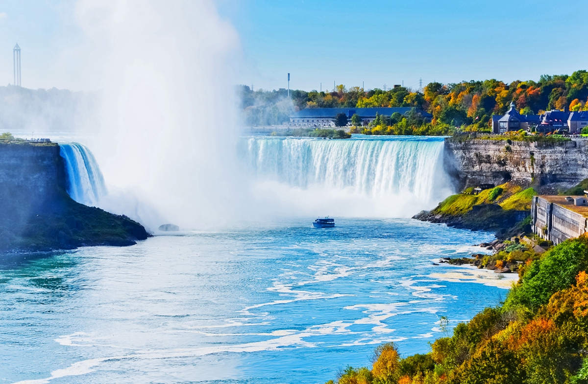 厉害了，加拿大人大概把所有热情都给了它？猜猜是什么