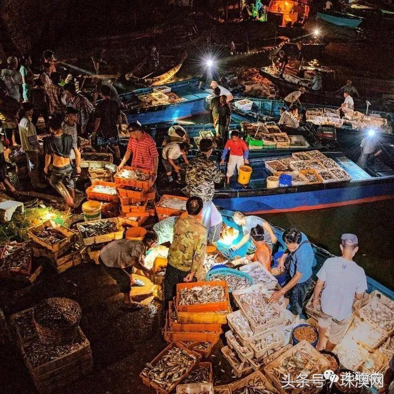湛江各个渔港,广东渔港码头开海新情况