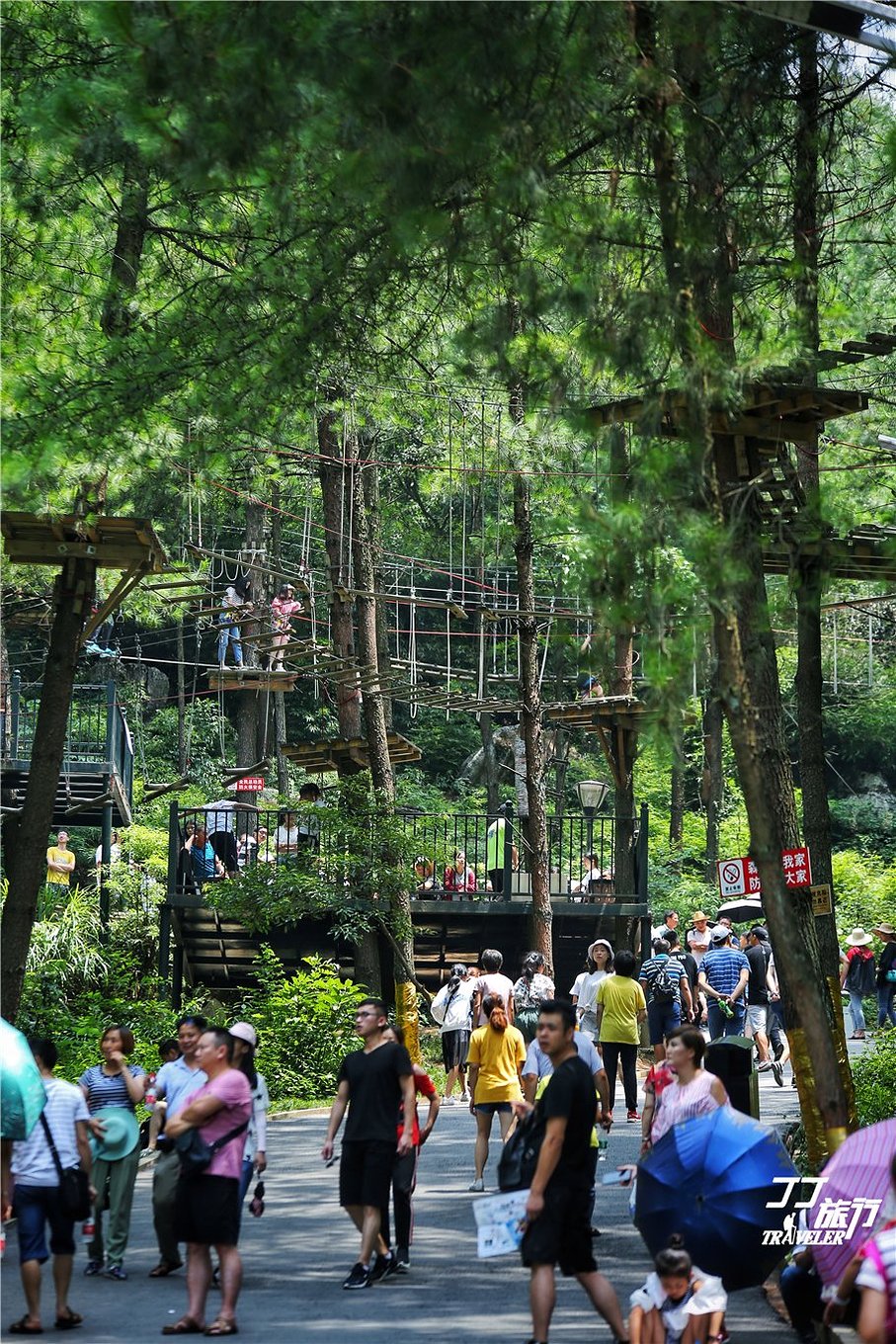 重庆神奇的地理位置,重庆成为世界第一城市