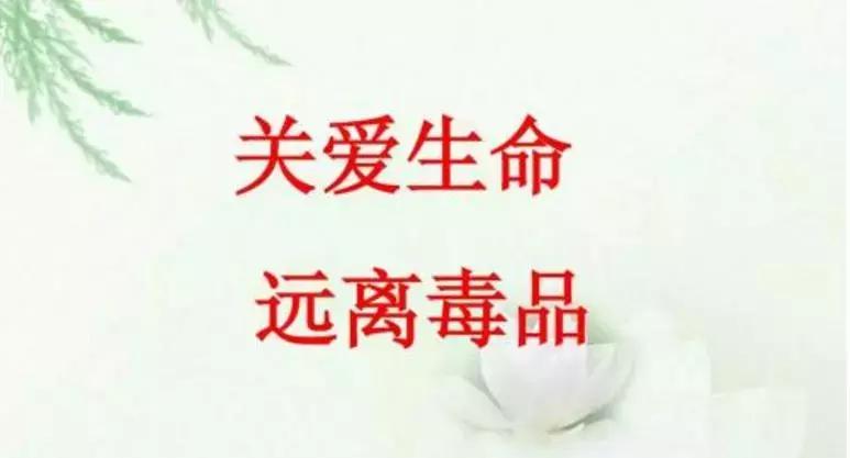 浙江首次查获迷幻药“蓝精灵”，危害是第一代*品毒**的1000倍