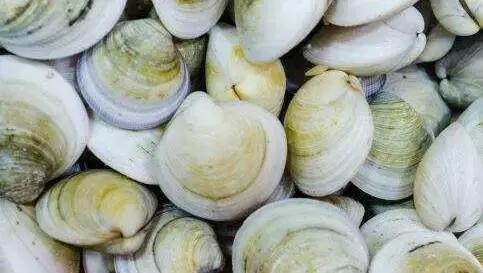 长春吃海鲜的地方排行榜,长春24小时自助吃海鲜的好地方