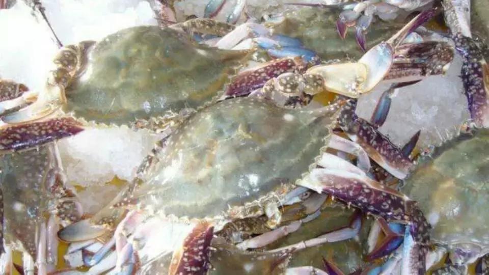 长春吃海鲜的地方排行榜,长春24小时自助吃海鲜的好地方